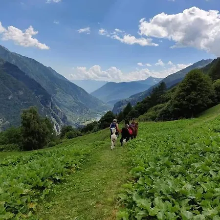 Rifugio Zum Gora Хостел *