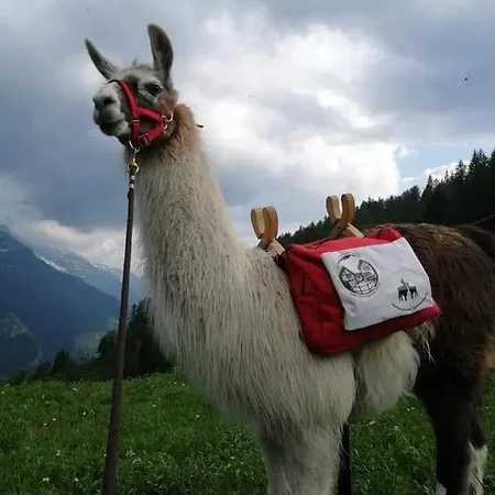 Rifugio Zum Gora Hostal *